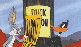 104072_1740502727.gif