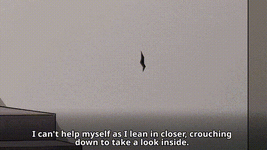 07fd85017755ac61d798ab14d2618395.gif 07fd85017755ac61d798ab14d2618395.gif
