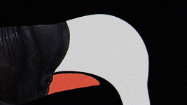 s2.gif s2.gif