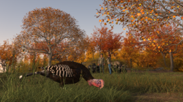 hunt.png