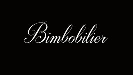 Bimbobilier-Adult-game-Cover.jpg