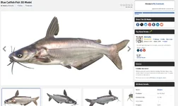 Screenshot 2025-12-27 094524.webp