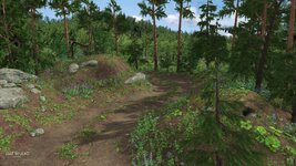 08-forest-path-daz3d.jpg