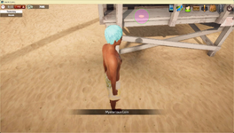coin5-beach_janice_tanline_style2.png