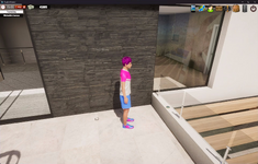 coin6-michelle_balcony_michelle_tanline_style2.png