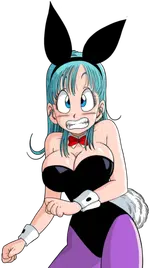 BulmaBunny_0.webp BulmaBunny_0.webp