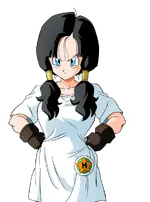 Videl.webp