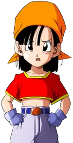 Pan.webp