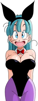 1BulmaBunny_3.webp