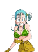 BAttle_BULMA_RR_1.webp BAttle_BULMA_RR_1.webp