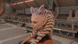 6033635_screenshot0004.jpg