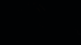 ezgif-832d978b32dda81d.gif