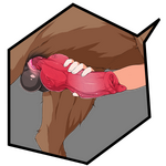 4.png