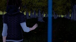 fore13.jpeg fore13.jpeg