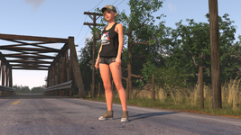 bridge.png