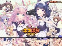 banner.jpg
