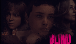 BlindCover.png