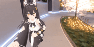 05.gif 05.gif
