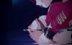 1.gif 1.gif