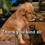 thank-you-kind-sir-ty-kind-sir.gif