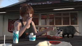 pos.png