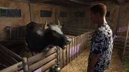 2796884_bg_farmintro_mcwalkstothecow_3moo.jpg
