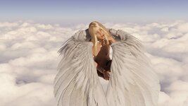 Brenda Wings-2.jpg