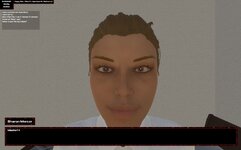 Citizens_interface.jpg Citizens_interface.jpg