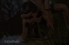 4.gif