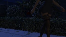 6037500_usit9.jpg
