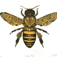 Lurker Bee
