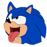 hedgehog