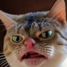 colbyjack21