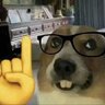 nerddawg