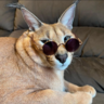 Spooker