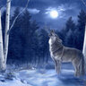 lonewolf6785