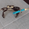 Klapkagyorgy