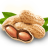 supernut