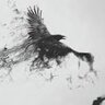 ravenshadow