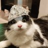 tinfoil