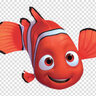 Nemo Warrior