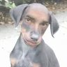 AlmaNegra