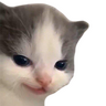 AvrgSSPEnjr