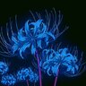 secondblue