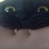 Altoran