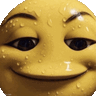 zenekort
