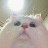 uncy