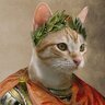 Caesarr