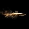 Bullet