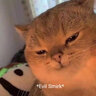 Cal00